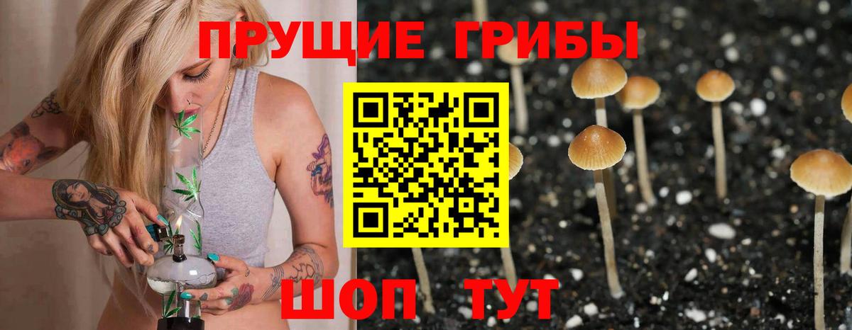 Галлюциногенные грибы Magic Shrooms  Псилоцибиновые грибы Psilocybe  Балашиха  Вход с VPN 